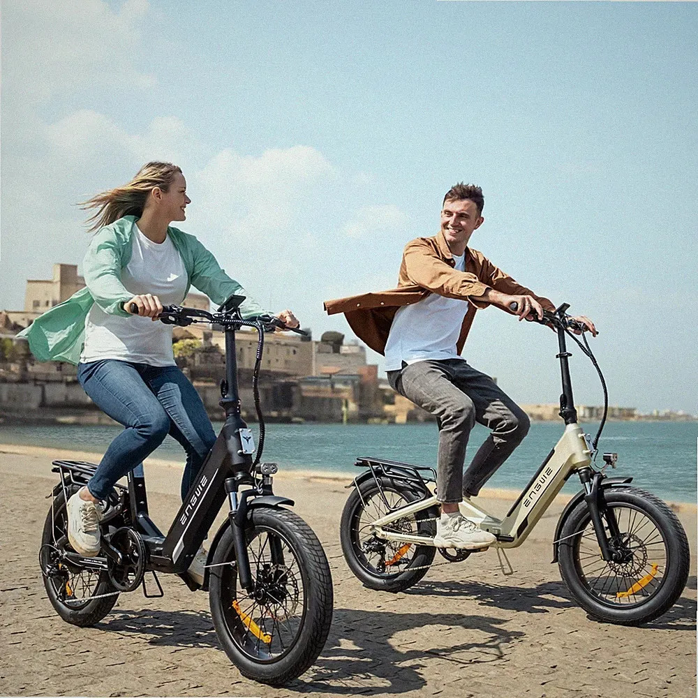 ENGWE Elektrofahrrad 48V E-Bike 20 Zoll Klapprad Herren City EBike L20 3.0 Boost