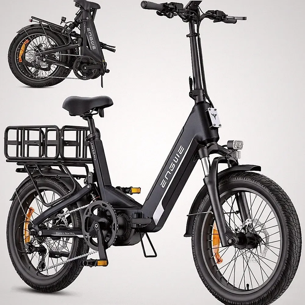 ENGWE L20 3.0 Pro 20 Zoll E-Bike Klapprad, 250W Motor Elektrofahrrad für Damen