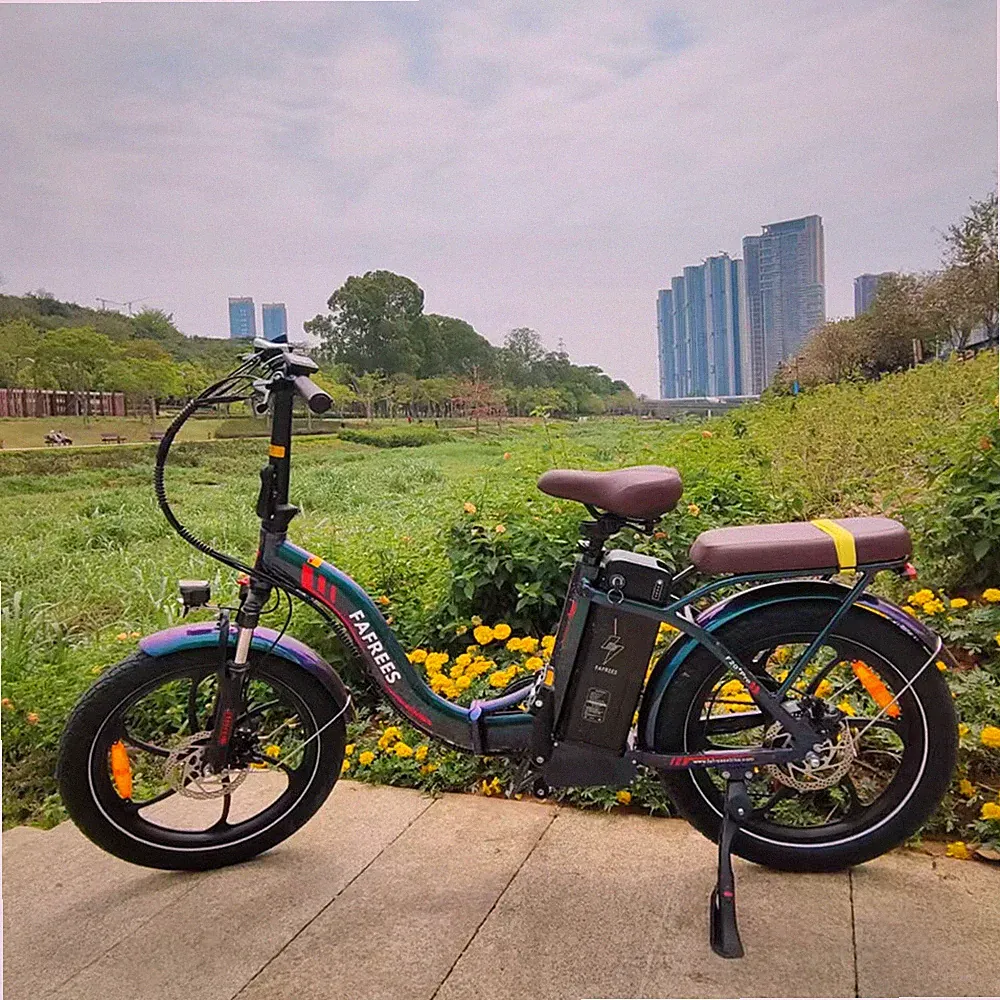 Fafrees 20 Zoll Elektrofahrrad 250W E-Bike Klapprad 36V/22.5AH Pedelec Citybike