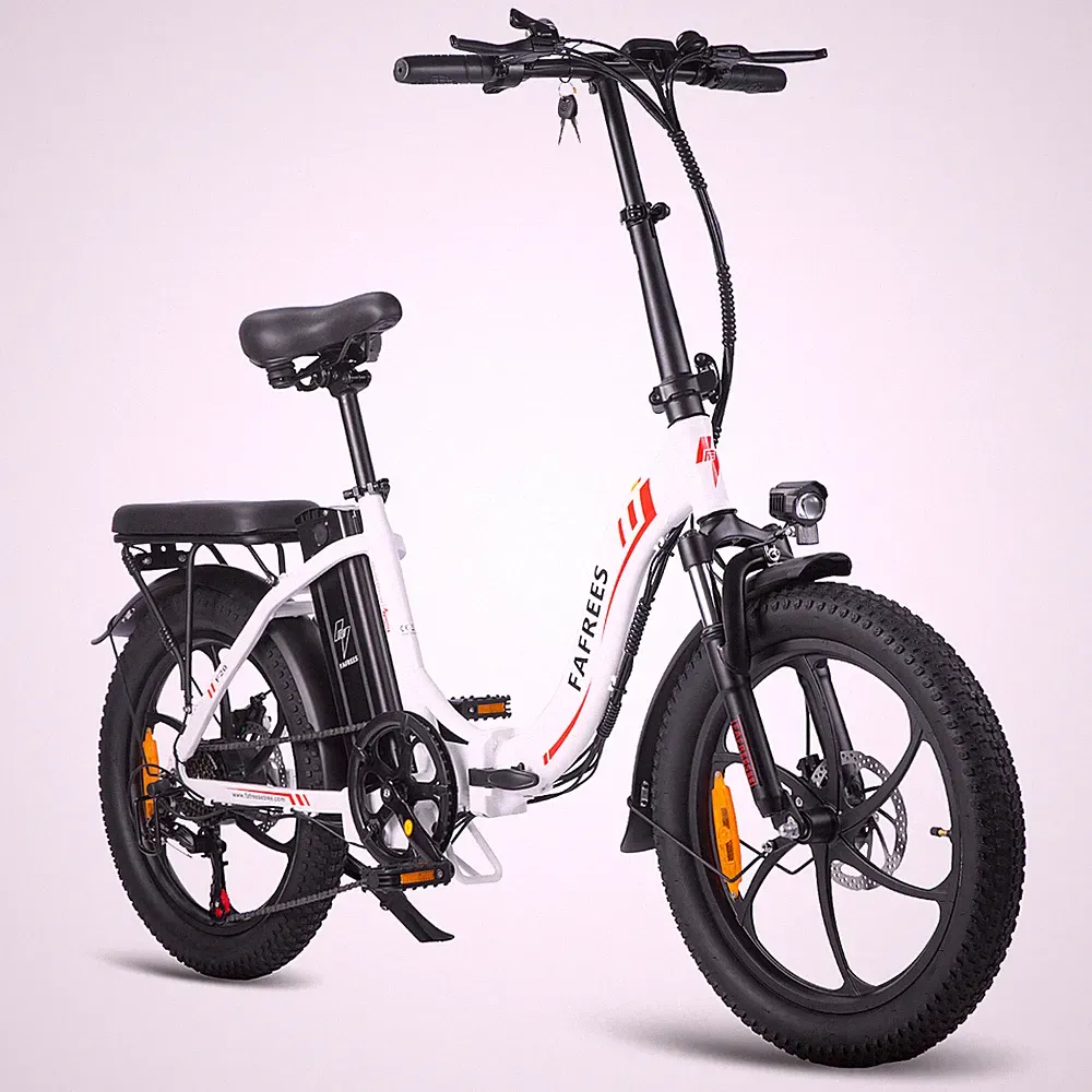 FAFREES 20 Zoll Klapprad Elektrofahrrad E-Bike Fahrrad 250W E-Citybike Pedelec