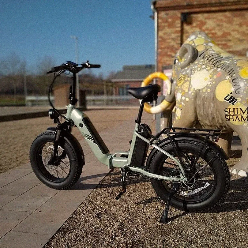 FAFREES 20 Zoll Klapprad Elektrofahrrad e Bike Fatbike Reifen 48V 24AH eBike