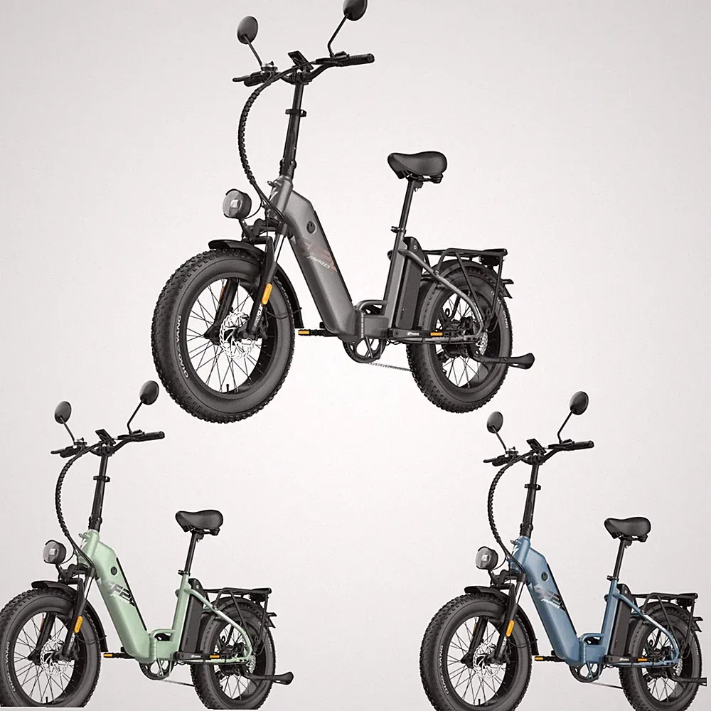 FAFREES FF20 POLAR Klapprad Elektrofahrrad 20 Zoll e Bike 24AH EU-Konformität