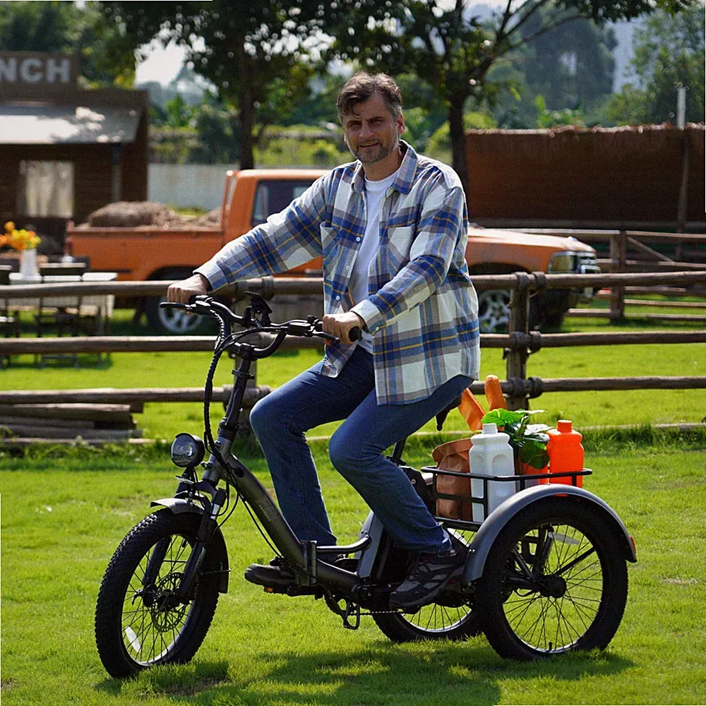 Fafrees F20 Mate 20 Zoll Elektro Dreirad 3 Rädern Klapprad e-Dreirad e Bike 18AH