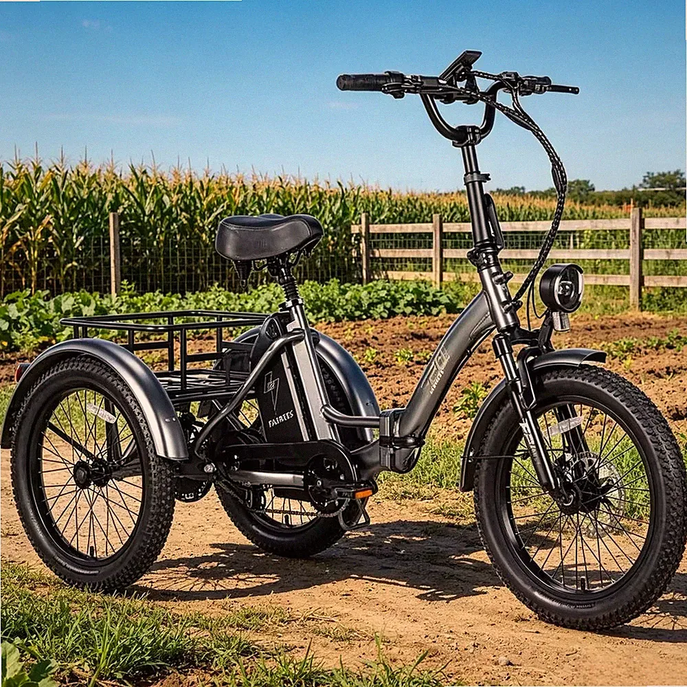 Fafrees F20 Mate 20 Zoll Elektro Dreirad 3 Rädern Klapprad e-Dreirad e Bike NEU