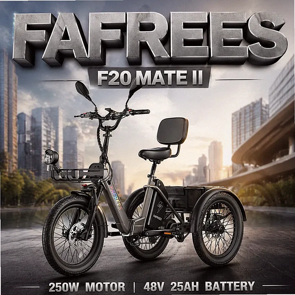 Fafrees F20 Mate II Elektro Dreirad 3 Rad 250W Klapprad 20 Zoll E-Bike mit Korb
