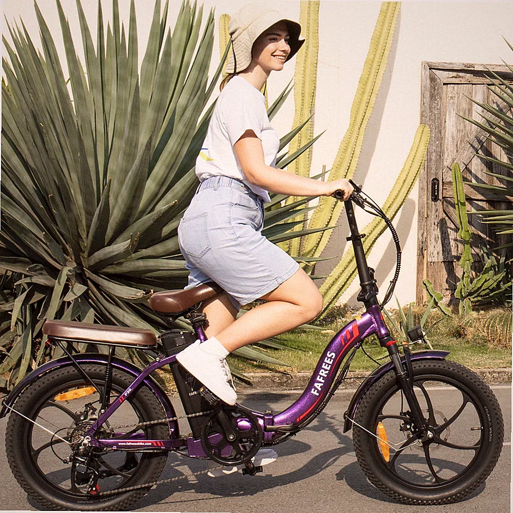 Fafrees F20 Pro 20 Zoll Klapprad Elektrofahrrad E-bike fatbike Damen e Fahrrad