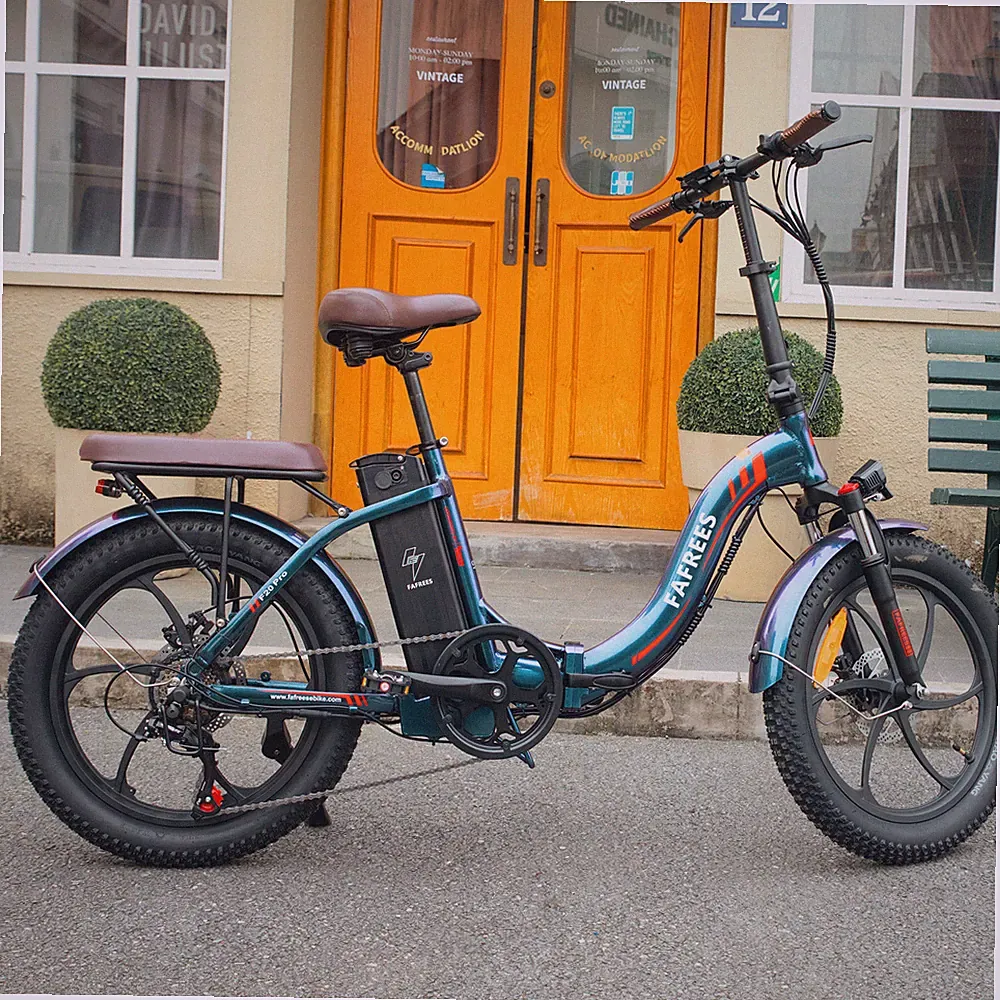 Fafrees F20 Pro E-bike 20 Zoll Klapprad Fahrrad Elektrofahrrad 250W Pedelec 18AH