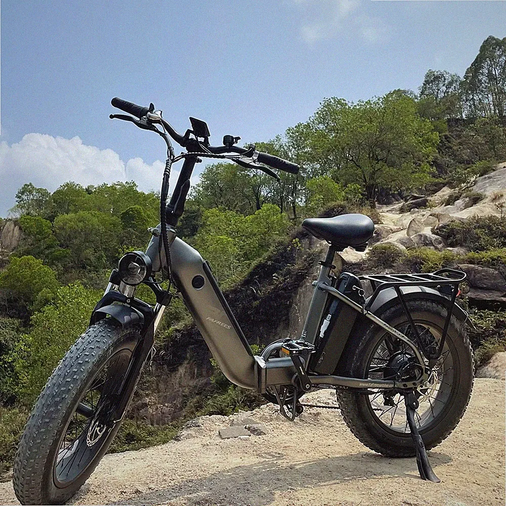 FAFREES FF20 POLAR 24Ah e Bike Klapprad Elektrofahrrad 20 Zoll fatbike Pedelec
