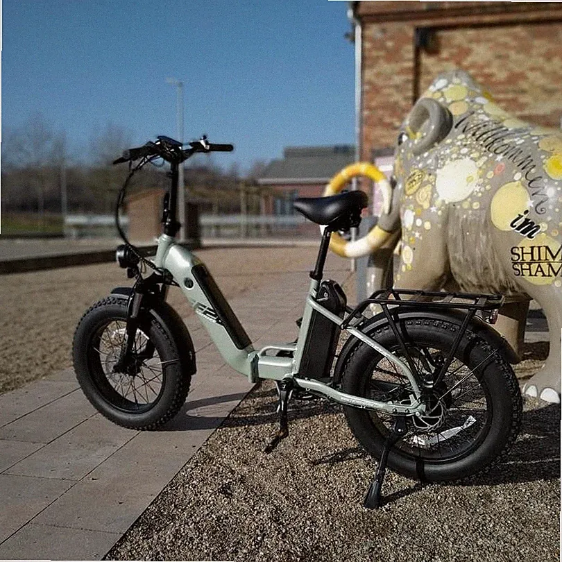 FAFREES FF20 POLAR Klapprad e Bike Elektrofahrrad 20 zoll e Mountainbike 24AH