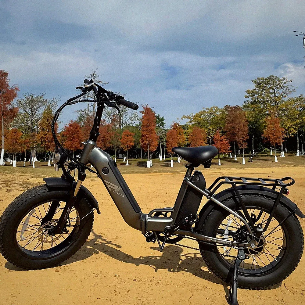 FAFREES FF20 Polar Klapprad Elektrofahrrad 20 Zoll e Bike Fatbike 24AH Pedelec