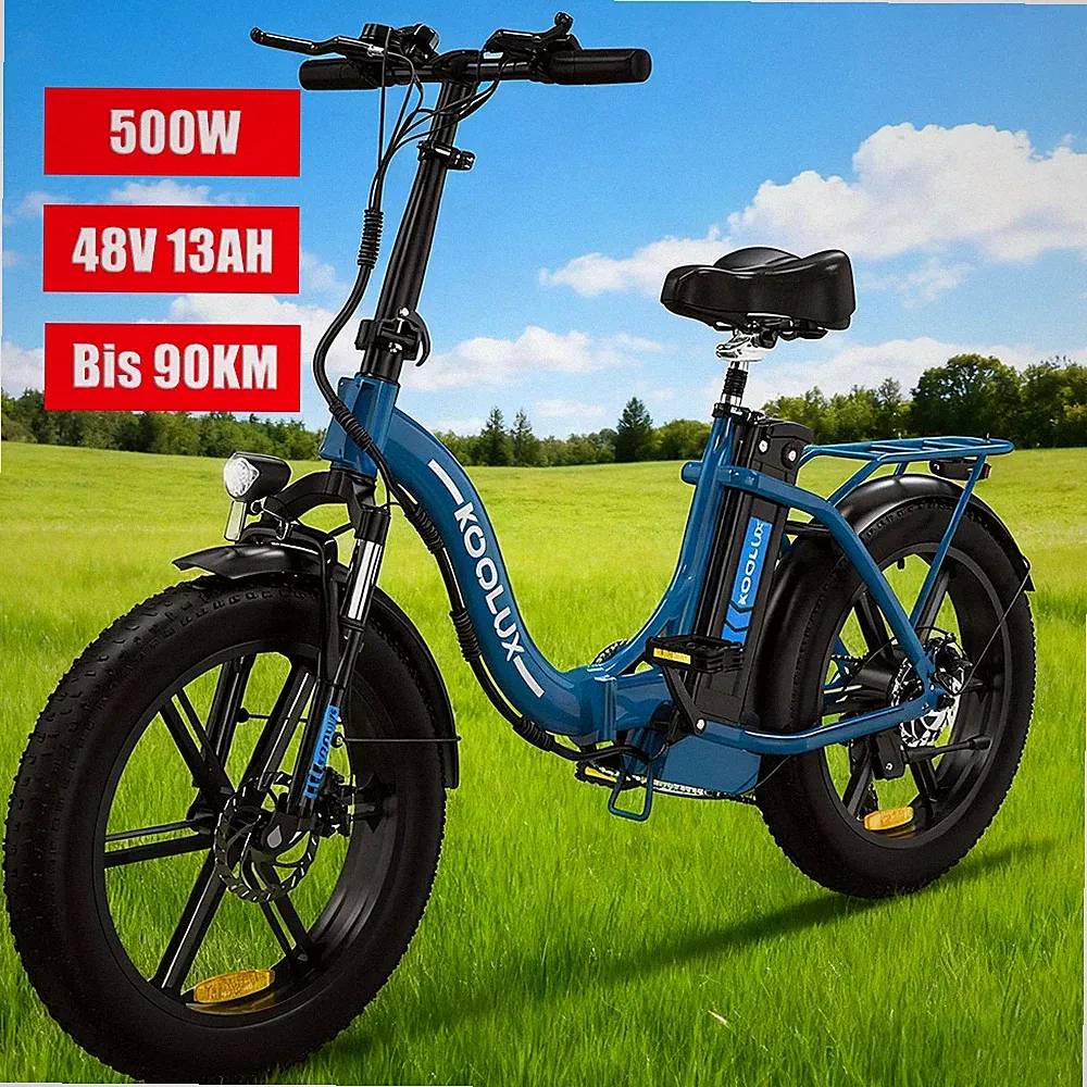 6 kg Pedelec