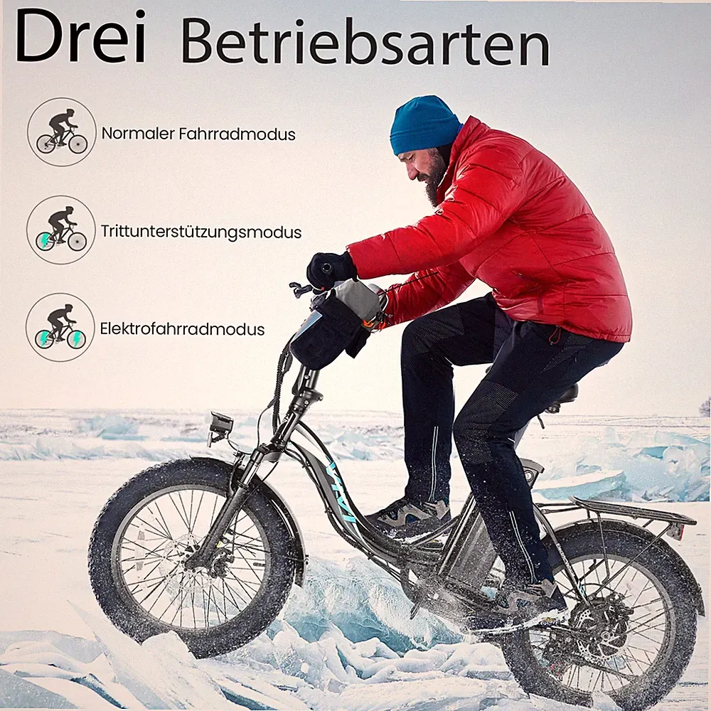 Klapprad Elektrofahrrad e Bike 20 Zoll 250W Shimano Pedelec 36V 10,2AH Citybike