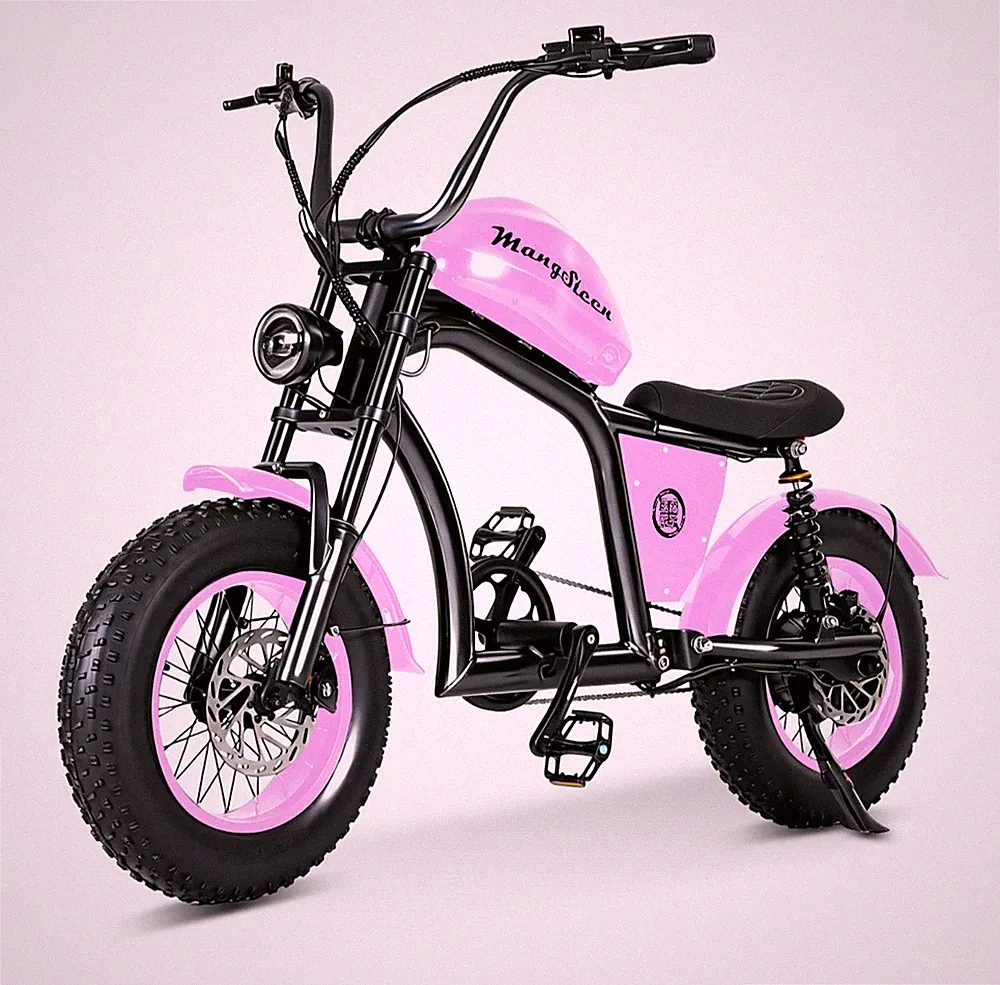 22 kg Cruiser
