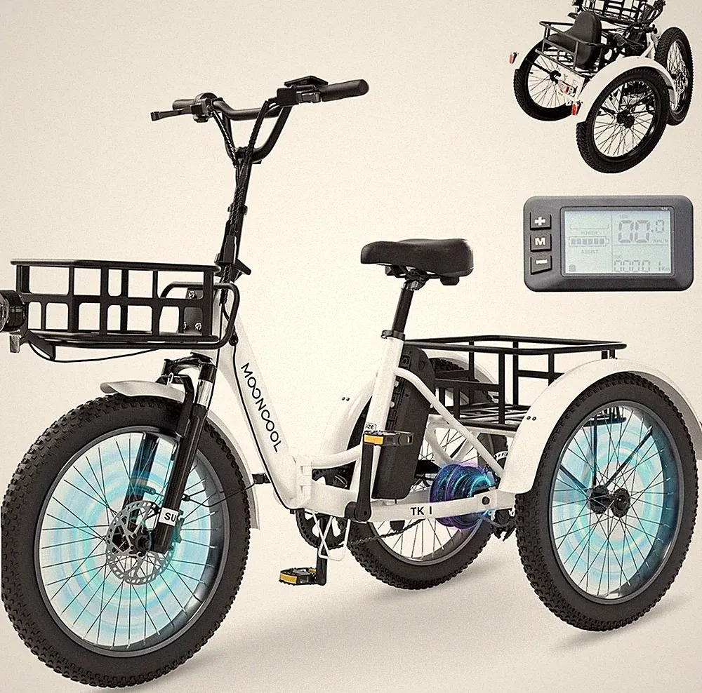 MOONCOOL 250W Elektro Dreirad e Bike 3 Rad 36V 20Ah Akku Klapprad 20 Zoll, grau