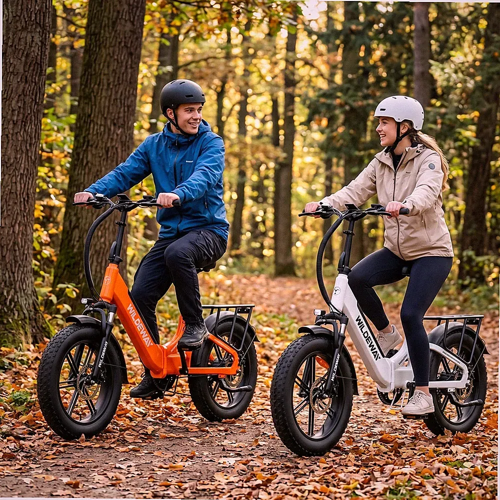 Neu 20 Zoll E Bike Pedelec Cityräder Elektrofahrrad 5OOW 48V 15Ah Klapprad MTB