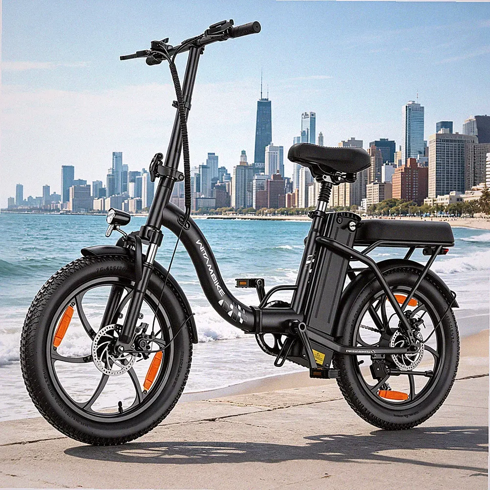NEU 250W Elektrofahrrad 20Zoll Klapprad E-Bike 48V 16Ah City Ebike E-Fahrrad C16