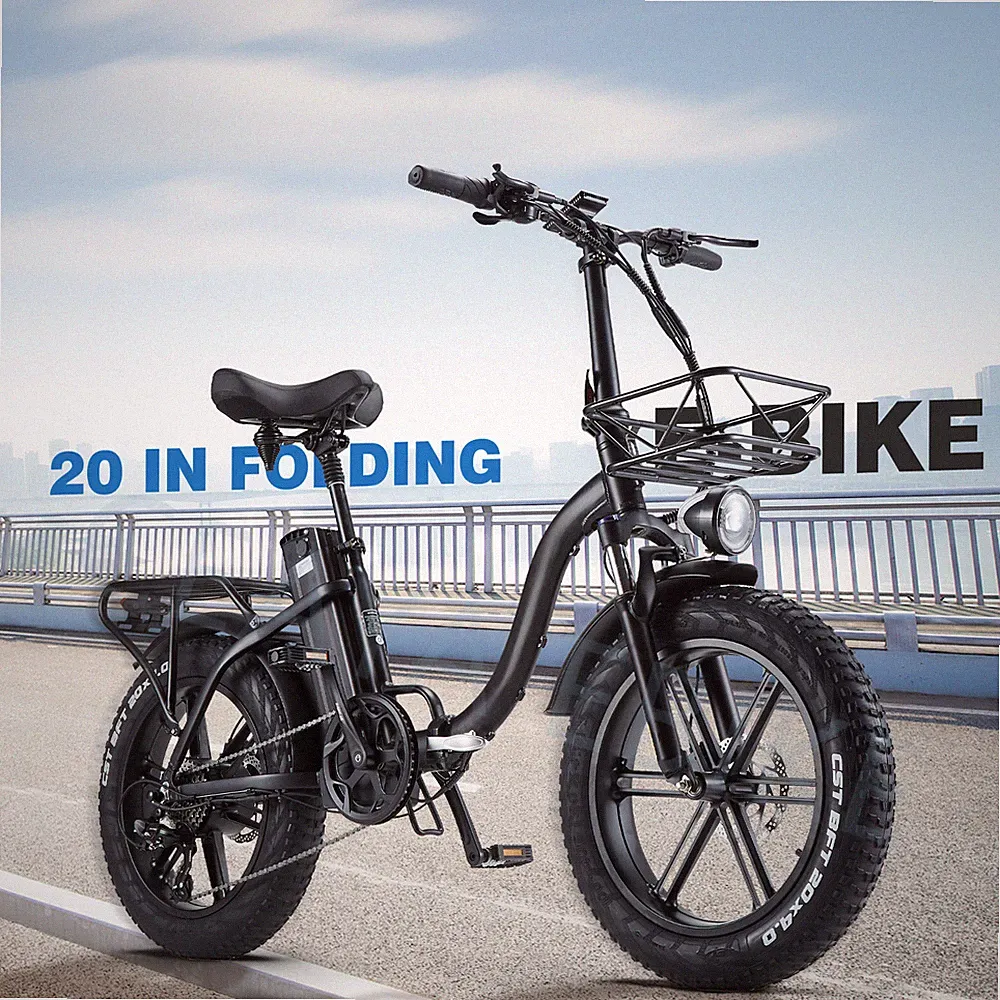 Neu E-Bike Klapprad 20 Zoll 800W Elektrofahrrad 48V 20Ah Abnehmbarer Akku MTB