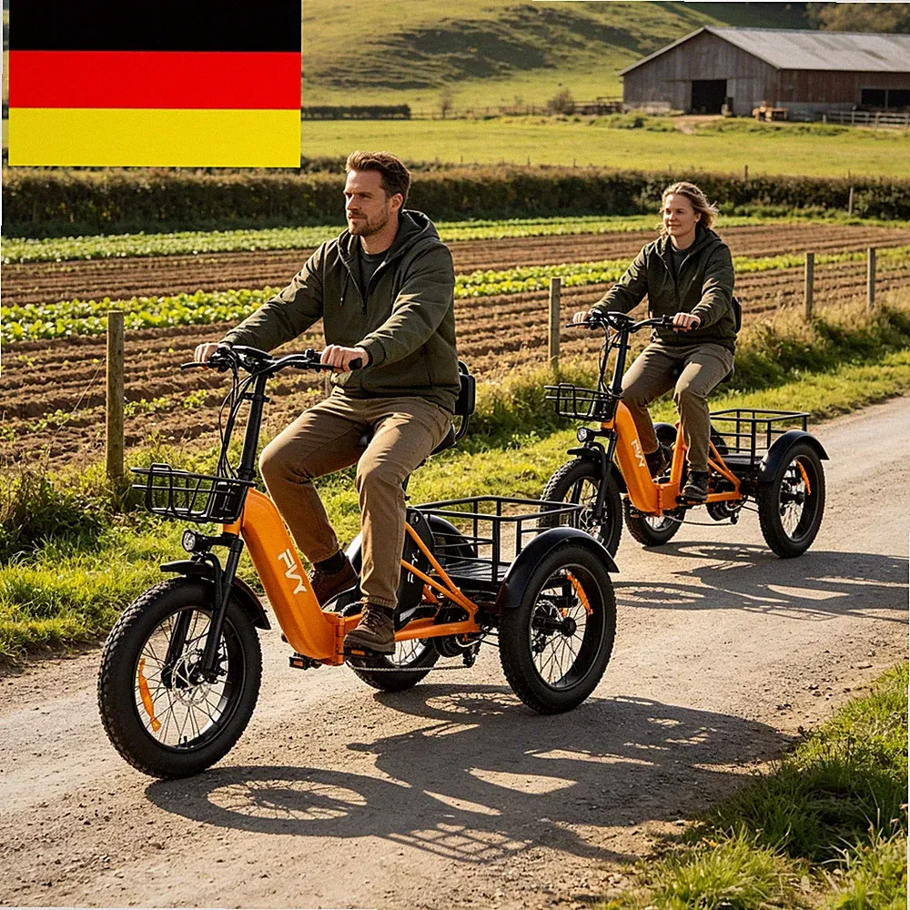 NEU PVY F20 20 "Elektro Dreirad mit Korb 1000W 48V 21AH Klapprad 3 Rad E-Bike