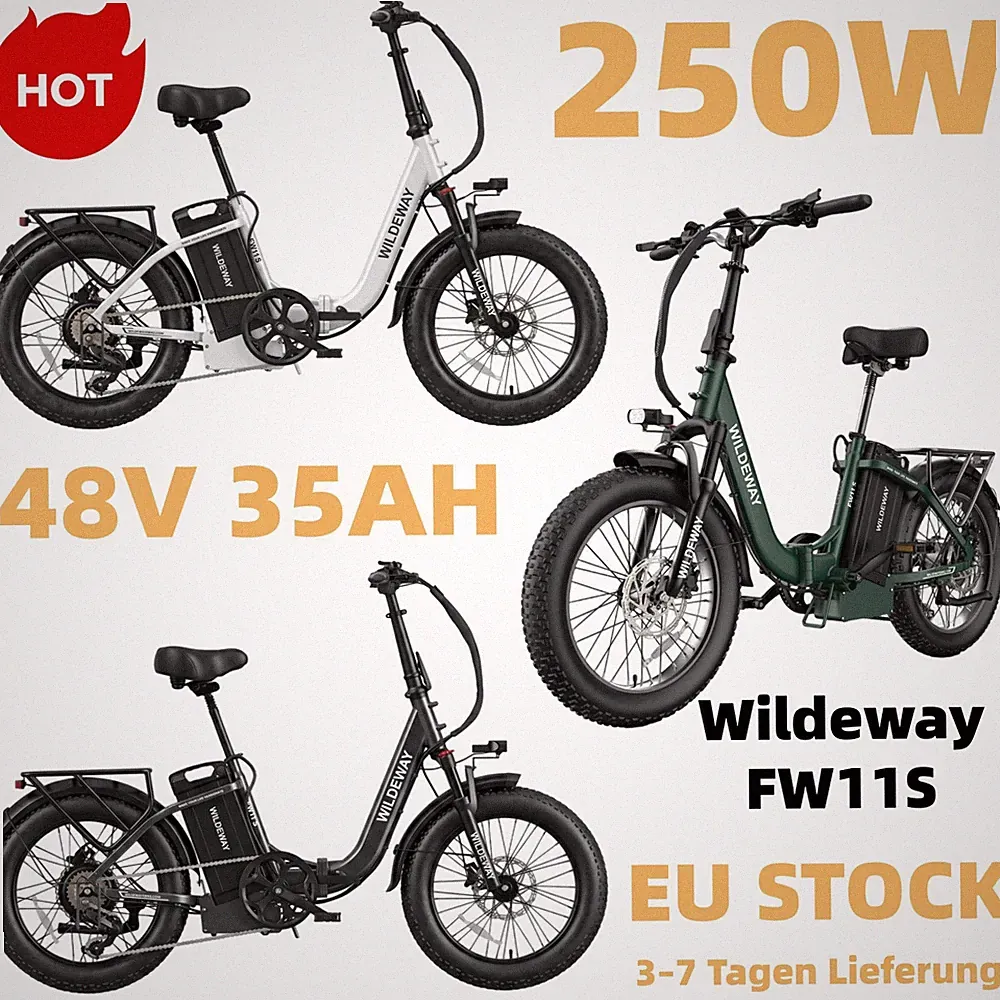 Wildeway 20" Elektrofahrrad 250W 48V 35Ah 25km/h klappbar E-Bike 7-Gang NEU
