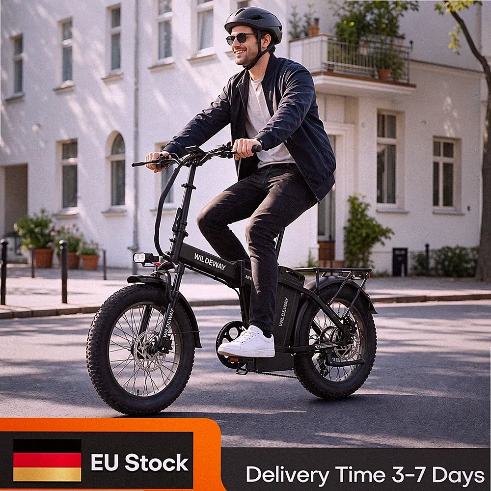 Wildeway Elektrofahrrad 20" 250W 48V 35Ah 25km/h klappbar E-Bike 7-Gang FW11