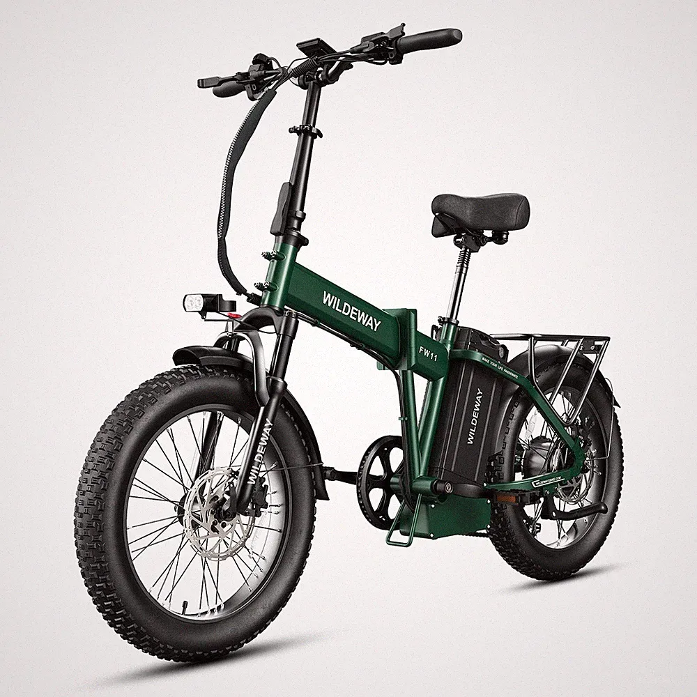 Wildeway FW11 Elektrofahrrad 20" 250W 48V 35Ah 25km/h klappbar E-Bike 7-Gang DE