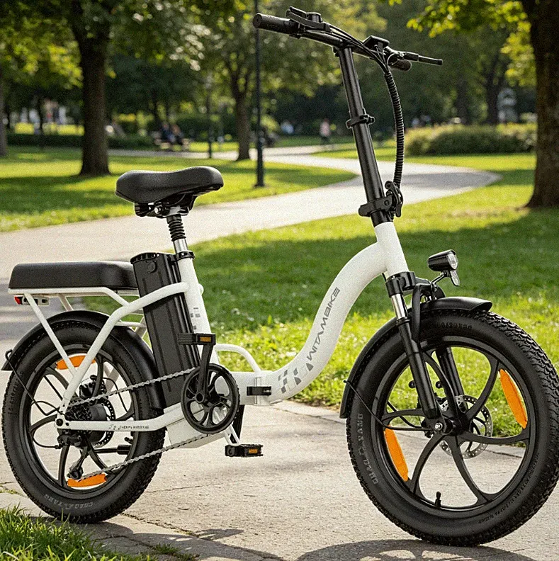 WITAMBIKE 20 Zoll E-Bike Pedelec Cityräder Elektrofahrrad 250W 48V 16AH Klapprad