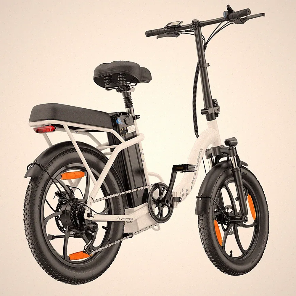 WITAMBIKE 20 Zoll E-Bike Pedelec Cityräder Elektrofahrrad 250W 48V 16AH Klapprad