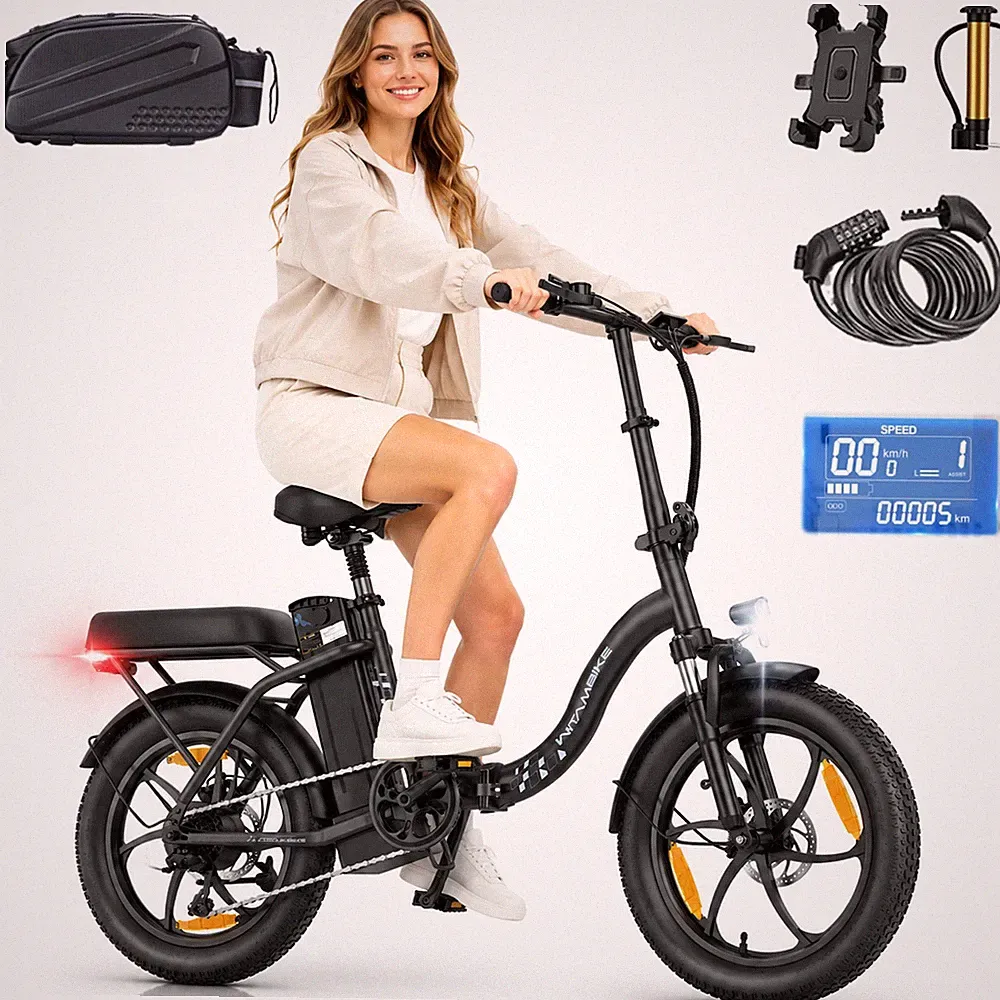 WITAMBIKE Elektrisches Klapprad 250 W – E-Bike von 48V 16AH 100KM Electric Bike